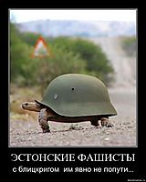 ЭСТОНСКИЕ ФАШИСТЫ с блицкригом  им явно не попути...