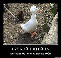 ГУСЬ ЭЙНШТЕЙНА он знает матанализ лучше тебя