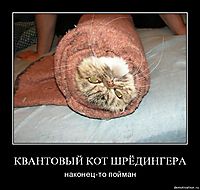 КВАНТОВЫЙ КОТ ШРЁДИНГЕРА наконец-то пойман