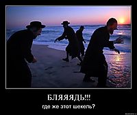 БЛЯЯЯДЬ!!! где же этот шекель?