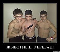 ЖЫВОТНЫЕ, В ЕРЕВАН! 