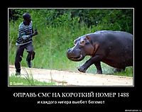 ОПРАВЬ СМС НА КОРОТКИЙ НОМЕР 1488 и каждого нигера выебет бегемот