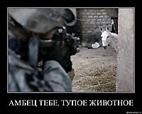 АМБЕЦ ТЕБЕ, ТУПОЕ ЖИВОТНОЕ 