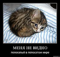 МЕНЯ НЕ ВИДНО полосатый в полосатом мире