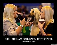 БЛОНДИНКАМ ЕСТЬ О ЧЕМ ПОГОВОРИТЬ когда их аж три