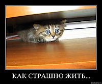 КАК СТРАШНО ЖИТЬ... 