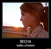 ВЕСНА жабы оттаяли