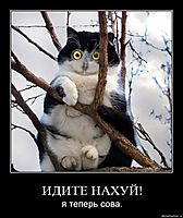 ИДИТЕ НАХУЙ! я теперь сова.
