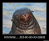 ММММ......ПЛ-Ю-Ю-Ю-ШКИ 