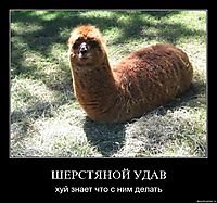 ШЕРСТЯНОЙ УДАВ хуй знает что с ним делать
