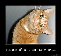 ЖЕНСКИЙ  ВЗГЛЯД  НА  МИР ..... 
