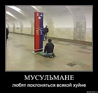 МУСУЛЬМАНЕ любят поклоняться всякой хуйне