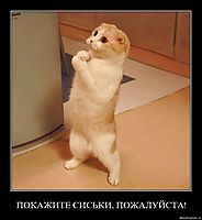 ПОКАЖИТЕ СИСЬКИ, ПОЖАЛУЙСТА! 