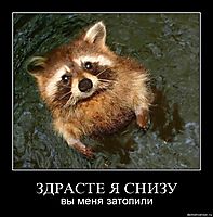 ЗДРАСТЕ Я СНИЗУ