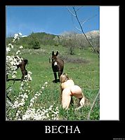 ВЕСНА 