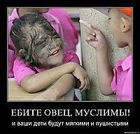 ЕБИТЕ ОВЕЦ, МУСЛИМЫ! и ваши дети будут мягкими и пушистыми