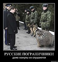 РУССКИЕ ПОГРАНИЧНИКИ даже манулы их слушаются