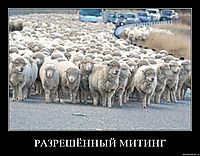 РАЗРЕШЁННЫЙ МИТИНГ 