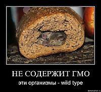 НЕ СОДЕРЖИТ ГМО эти организмы - wild type