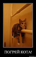 ПОГРЕЙ КОТА! 
