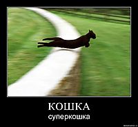 КОШКА суперкошка