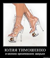 ЮЛИЯ ТИМОШЕНКО и мелкие кремлевские зверьки