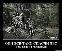 ОНИ ВСЕ-ТАКИ СПАСЛИ ЛЕС а ты даже не пытаешься