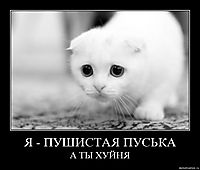 Я - ПУШИСТАЯ ПУСЬКА А ТЫ ХУЙНЯ