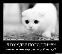 ЧТО???ДВЕ ПОЛОСКИ?!?!?! милая, может еще раз попробовать,а?