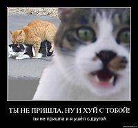 ТЫ НЕ ПРИШЛА, НУ И ХУЙ С ТОБОЙ! ты не пришла и я ушёл с другой