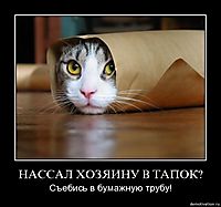 НАССАЛ ХОЗЯИНУ В ТАПОК? Съебись в бумажную трубу!