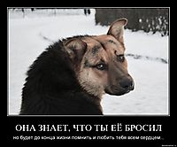 ОНА ЗНАЕТ, ЧТО ТЫ ЕЁ БРОСИЛ но будет до конца жизни помнить и любить тебя всем сердцем...