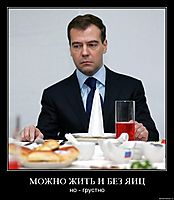 МОЖНО ЖИТЬ И БЕЗ ЯИЦ но - грустно