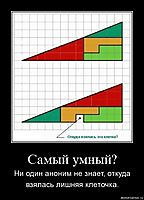 Самый умный? Ни один аноним не знает, откуда взялась лишняя клеточка.