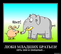 ЛЮБИ МЛАДШИХ БРАТЬЕВ! хоть они и смешные...