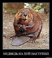 МЕДВЕДЬ НА ХУЙ НАСТУПИЛ 