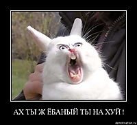 АХ ТЫ Ж ЁБАНЫЙ ТЫ НА ХУЙ ! 
