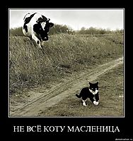 НЕ ВСЁ КОТУ МАСЛЕНИЦА 