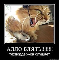 АЛЛО БЛЯТЬ!!!!!!!! техподдержка слушает