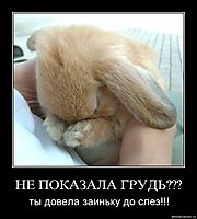 НЕ ПОКАЗАЛА ГРУДЬ??? ты довела заиньку до слез!!!