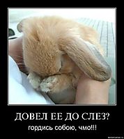 ДОВЕЛ ЕЕ ДО СЛЕЗ? гордись собою, чмо!!!