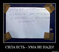 СИЛА ЕСТЬ – УМА НЕ НАДО! 