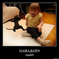 НАПАДАЙ!!! пугай!!!