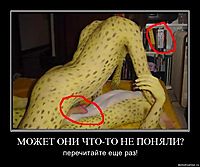 МОЖЕТ ОНИ ЧТО-ТО НЕ ПОНЯЛИ? перечитайте еще раз!