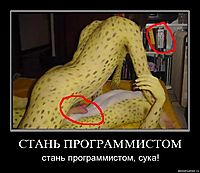 СТАНЬ ПРОГРАММИСТОМ стань программистом, сука!