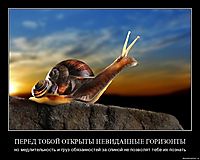 ПЕРЕД ТОБОЙ ОТКРЫТЫ НЕВИДАННЫЕ ГОРИЗОНТЫ но медлительность и груз обязанностей за спиной не позволят тебе их познать