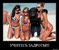 УЧИТЕСЬ ЗАДРОТЫ!!! 