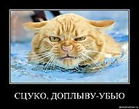 СЦУКО, ДОПЛЫВУ-УБЬЮ 