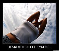 КАКОЕ НЕБО ГОЛУБОЕ... 