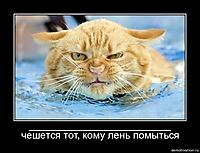_________________ чешется тот, кому лень помыться